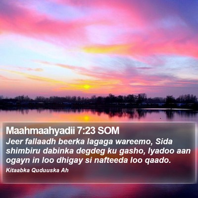 Maahmaahyadii 7:23 SOM Bible Verse Image