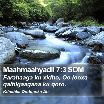Maahmaahyadii 7:3 SOM Bible Verse Image