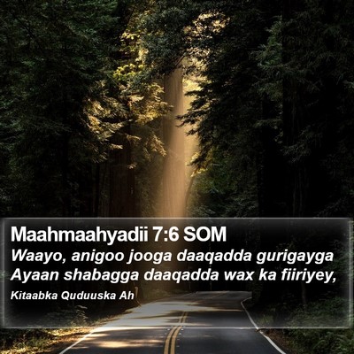 Maahmaahyadii 7:6 SOM Bible Verse Image