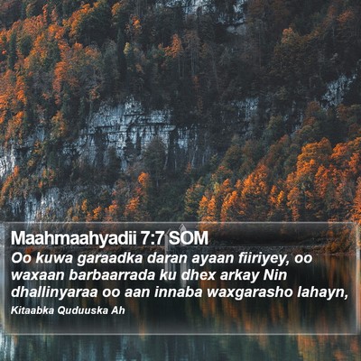 Maahmaahyadii 7:7 SOM Bible Verse Image
