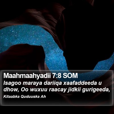 Maahmaahyadii 7:8 SOM Bible Verse Image
