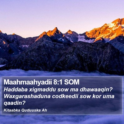 Maahmaahyadii 8:1 SOM Bible Verse Image