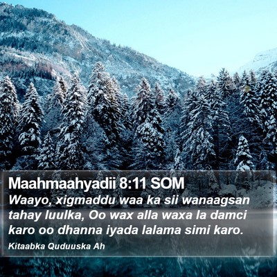 Maahmaahyadii 8:11 SOM Bible Verse Image