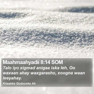 Maahmaahyadii 8:14 SOM Bible Verse Image