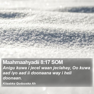 Maahmaahyadii 8:17 SOM Bible Verse Image