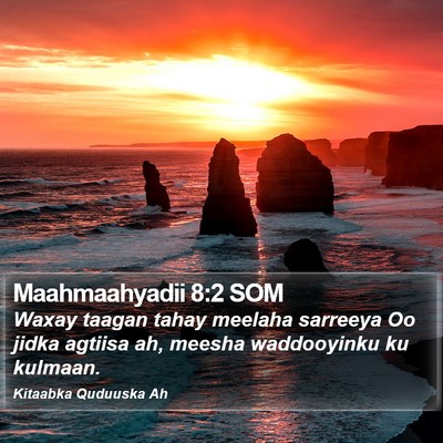 Maahmaahyadii 8:2 SOM Bible Verse Image