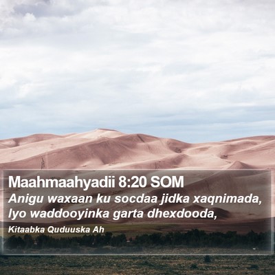 Maahmaahyadii 8:20 SOM Bible Verse Image
