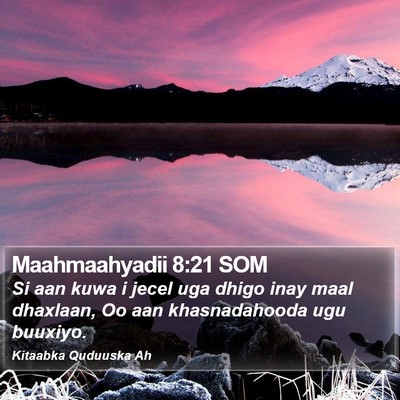 Maahmaahyadii 8:21 SOM Bible Verse Image