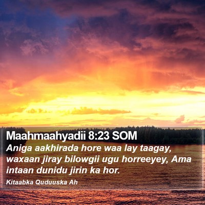 Maahmaahyadii 8:23 SOM Bible Verse Image