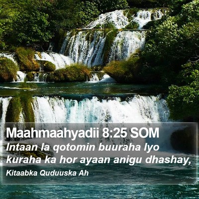 Maahmaahyadii 8:25 SOM Bible Verse Image