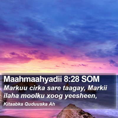Maahmaahyadii 8:28 SOM Bible Verse Image