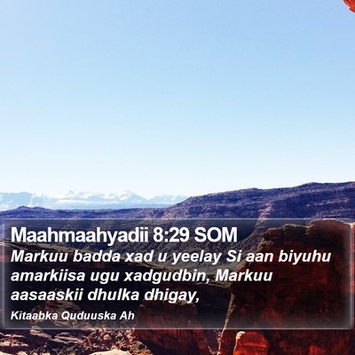 Maahmaahyadii 8:29 SOM Bible Verse Image