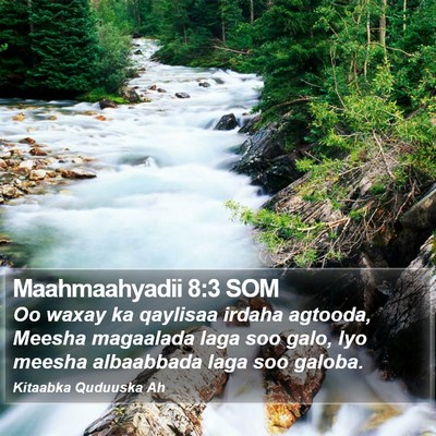 Maahmaahyadii 8:3 SOM Bible Verse Image