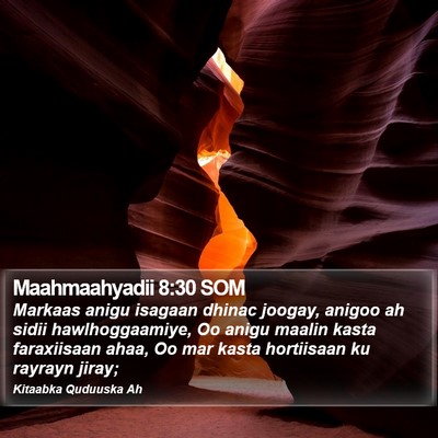 Maahmaahyadii 8:30 SOM Bible Verse Image