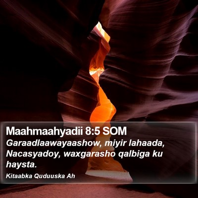 Maahmaahyadii 8:5 SOM Bible Verse Image