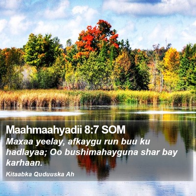 Maahmaahyadii 8:7 SOM Bible Verse Image