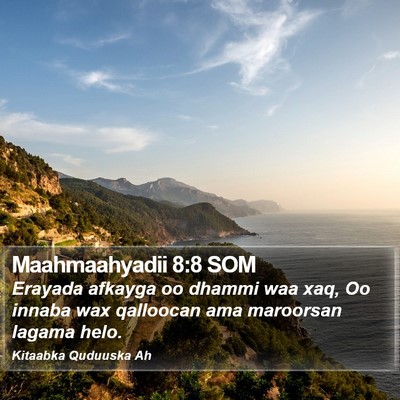 Maahmaahyadii 8:8 SOM Bible Verse Image