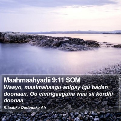 Maahmaahyadii 9:11 SOM Bible Verse Image