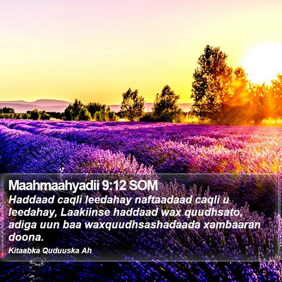 Maahmaahyadii 9:12 SOM Bible Verse Image