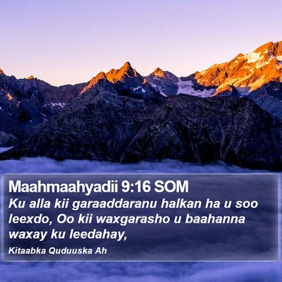 Maahmaahyadii 9:16 SOM Bible Verse Image