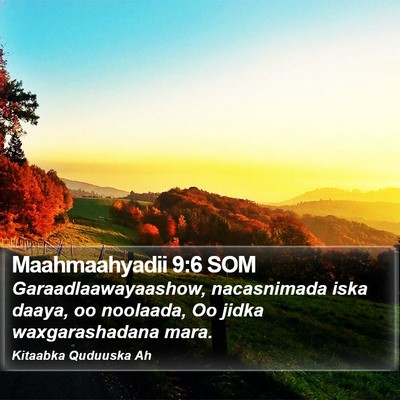Maahmaahyadii 9:6 SOM Bible Verse Image