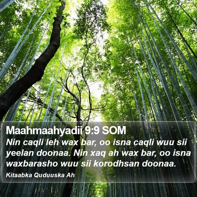 Maahmaahyadii 9:9 SOM Bible Verse Image
