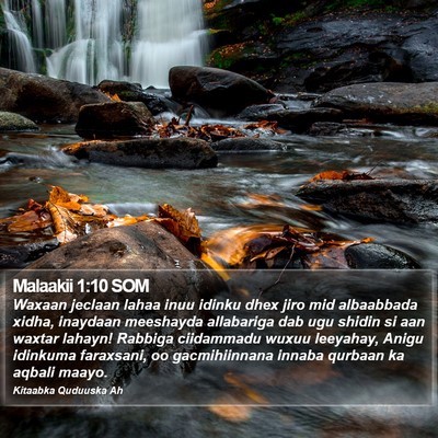 Malaakii 1:10 SOM Bible Verse Image