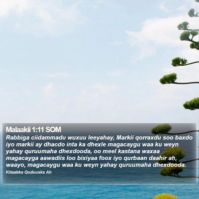Malaakii 1:11 SOM Bible Verse Image