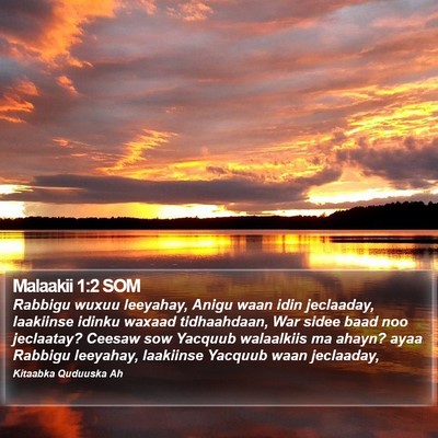 Malaakii 1:2 SOM Bible Verse Image
