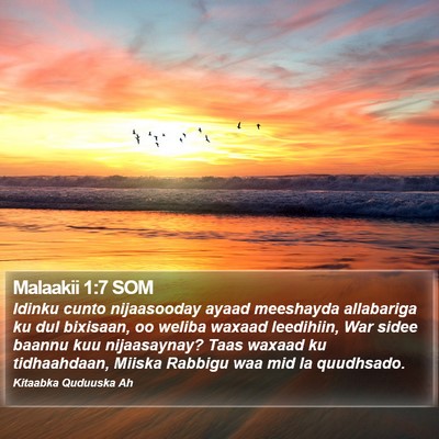 Malaakii 1:7 SOM Bible Verse Image