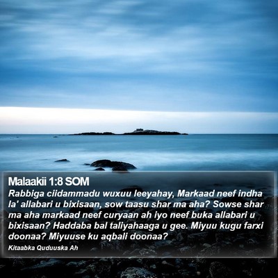 Malaakii 1:8 SOM Bible Verse Image