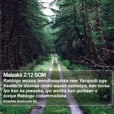 Malaakii 2:12 SOM Bible Verse Image