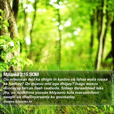 Malaakii 2:15 SOM Bible Verse Image