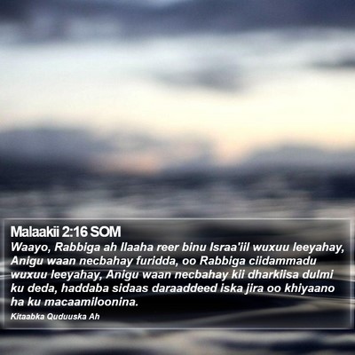 Malaakii 2:16 SOM Bible Verse Image