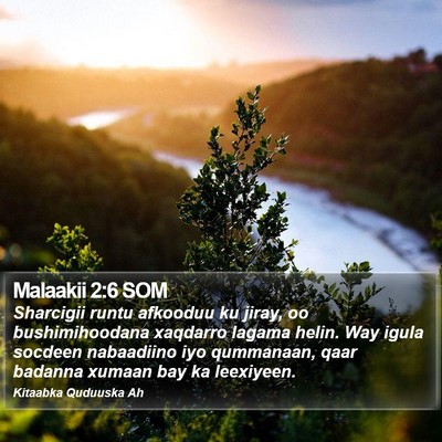Malaakii 2:6 SOM Bible Verse Image
