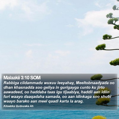 Malaakii 3:10 SOM Bible Verse Image