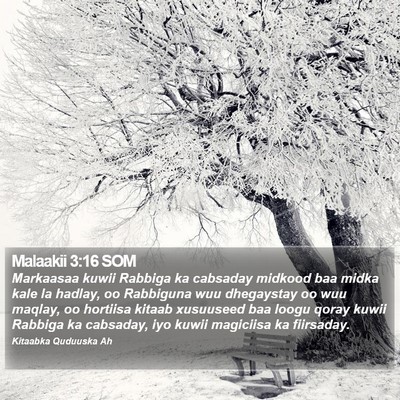 Malaakii 3:16 SOM Bible Verse Image