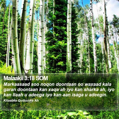 Malaakii 3:18 SOM Bible Verse Image