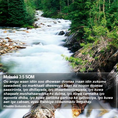Malaakii 3:5 SOM Bible Verse Image