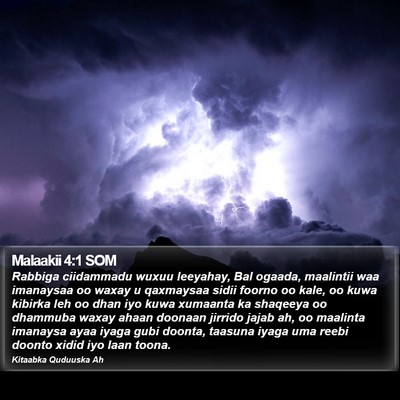 Malaakii 4:1 SOM Bible Verse Image