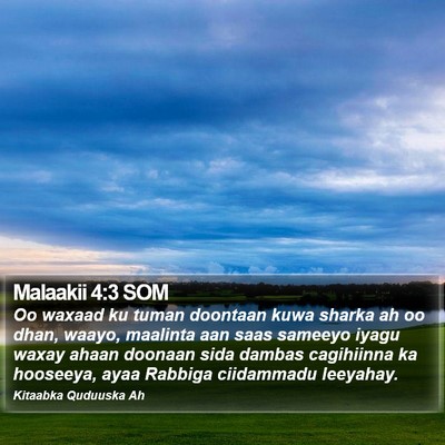 Malaakii 4:3 SOM Bible Verse Image