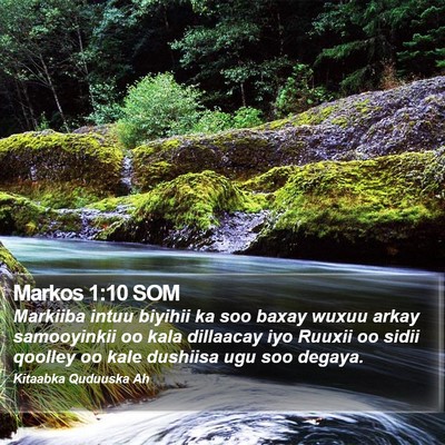 Markos 1:10 SOM Bible Verse Image