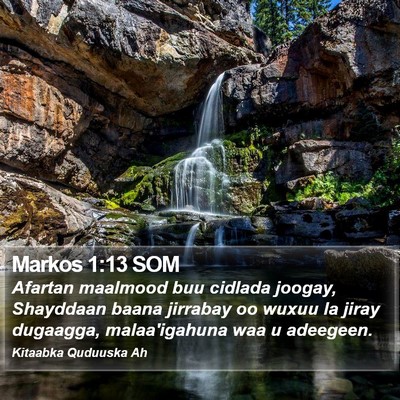 Markos 1:13 SOM Bible Verse Image