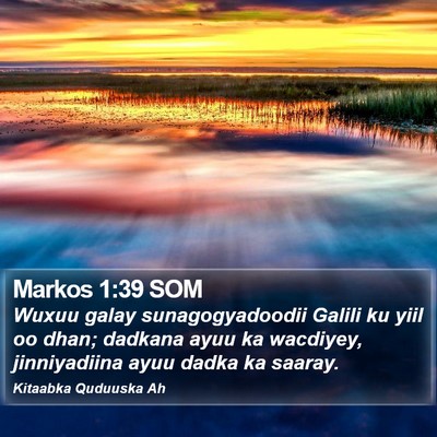Markos 1:39 SOM Bible Verse Image
