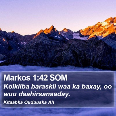 Markos 1:42 SOM Bible Verse Image