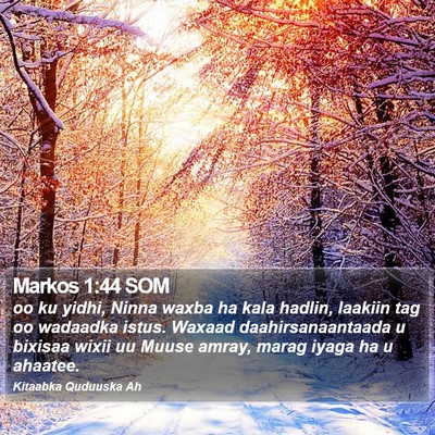 Markos 1:44 SOM Bible Verse Image