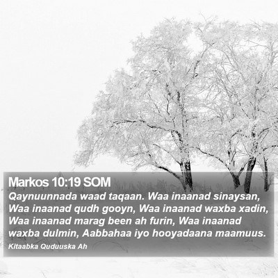 Markos 10:19 SOM Bible Verse Image