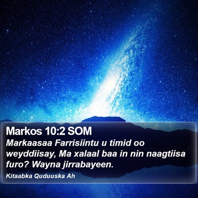 Markos 10:2 SOM Bible Verse Image