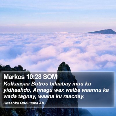 Markos 10:28 SOM Bible Verse Image