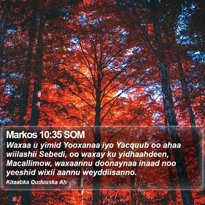Markos 10:35 SOM Bible Verse Image